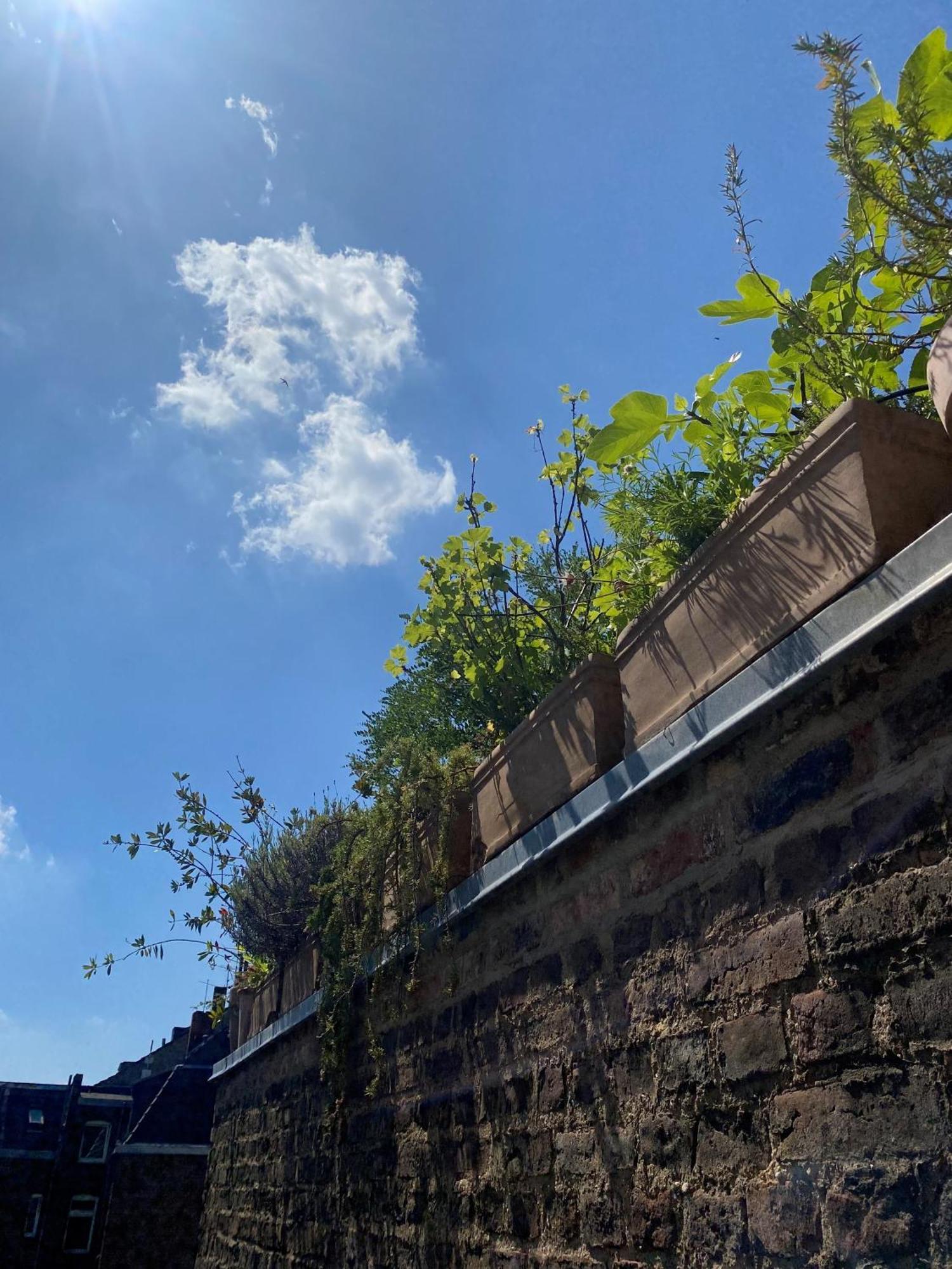 Ferienwohnung Zehuus Mit Domblick Und Dachterrasse Köln Exterior foto